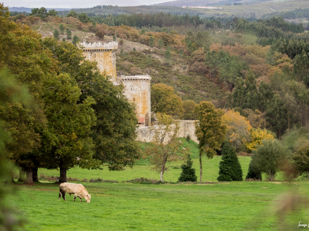 Nuestro castillo de Pambre